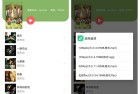听下音乐v217纯净版解锁全网VIP音乐特权
