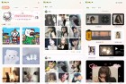 言橘壁纸v114会员解锁版无限畅享高清壁纸