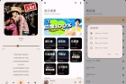 大师兄音乐201海量音乐资源支持多种音源无损音质一键下载