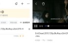 迅雷APP81309235不限速破解版下载与使用指南