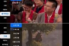 极大电视0052高清稳定版电视直播软件看春晚必备